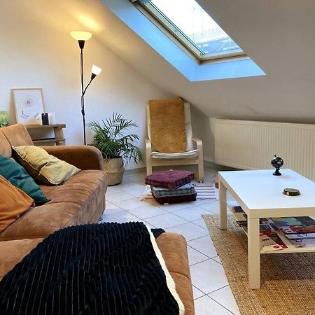 10Min Bus Strasbourg Centre-Parking Prive-Wifi-Tv Apartment Bischheim Bagian luar foto